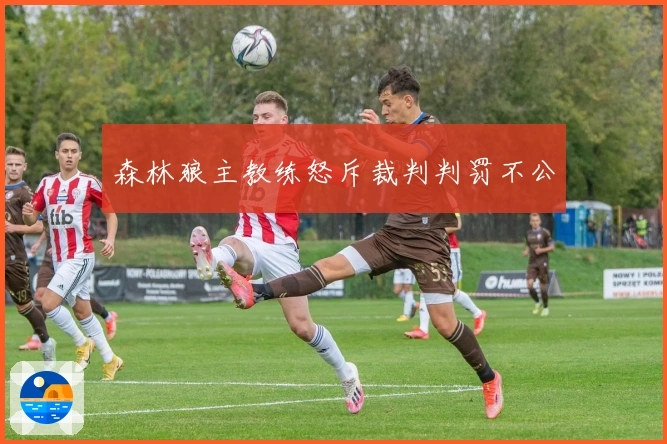 森林狼主教练怒斥裁判判罚不公