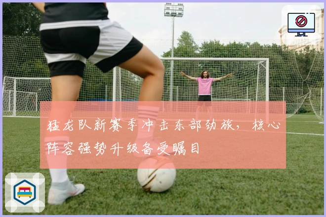 猛龙队新赛季冲击东部劲旅,核心阵容强势升级备受瞩目